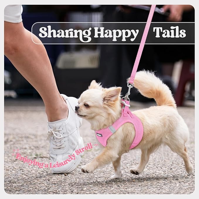 rabbitgoo Dog Harness Small Sized and Leash Set, Step in Soft Light Puppy Vest, Breathable Mesh Pet Harness, Reflective for Safe Easy Walking, Light Pink S