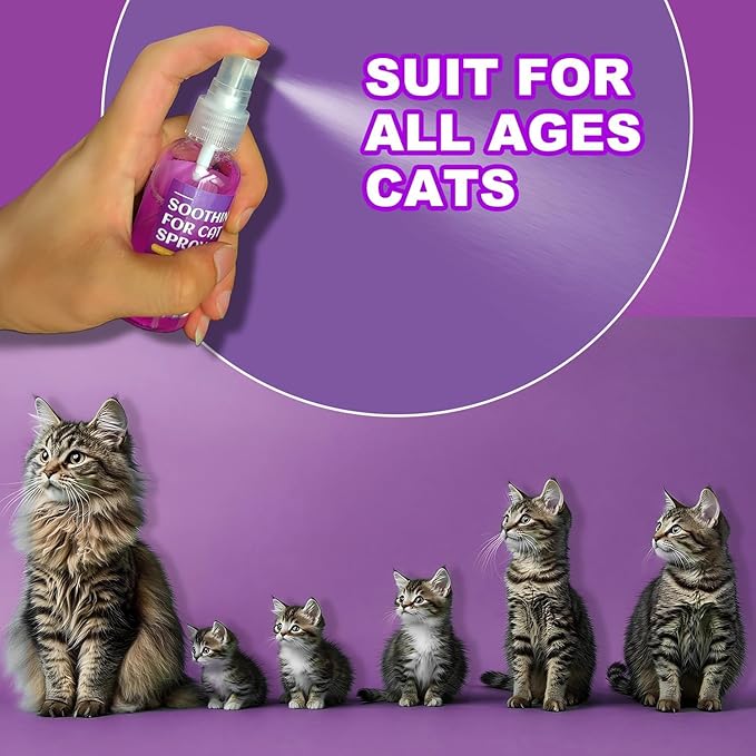 Cats Calming Pheromone Spray & Calming Solution for Cats, Anti Anxiety Pet Products - Feline Calm Pheromones, Cats Reduces Scratching Furniture Peeing Marking Calming Cat for Travel 240 ml
