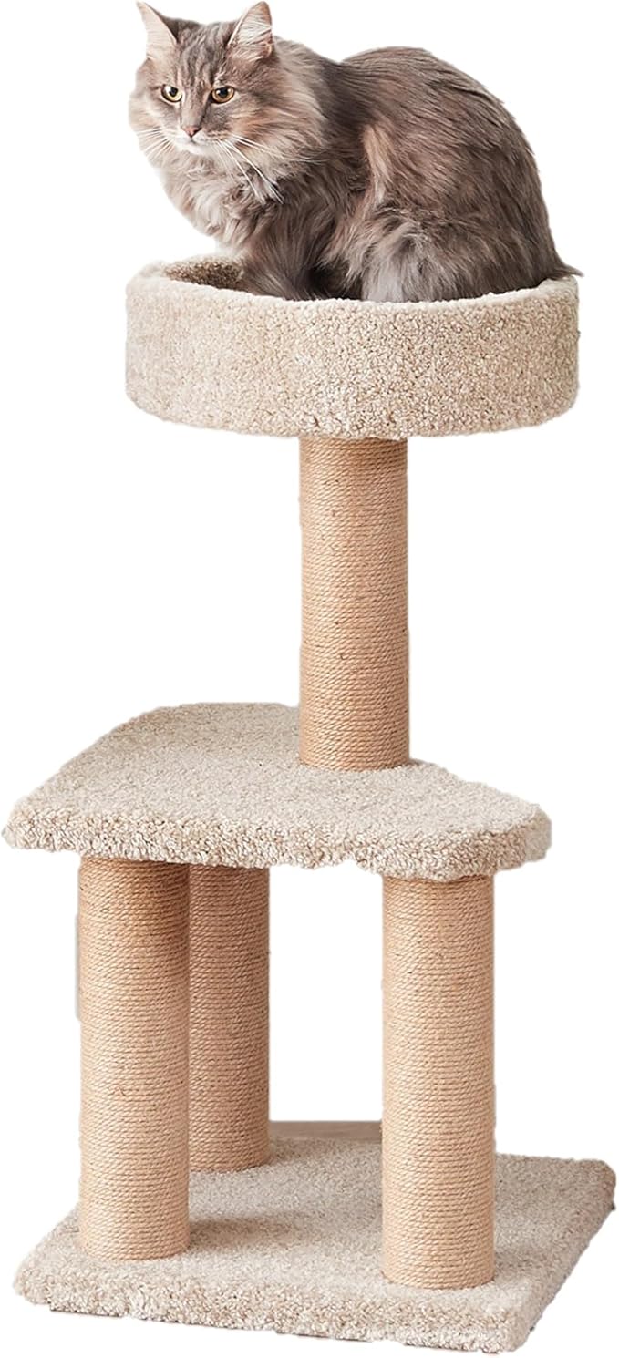 Amazon Basics Cat Tree - Indoor Cat & Kittens Multi-Level Climbing Activity Tower with Scratching Posts, Medium (31.5" H) - Beige