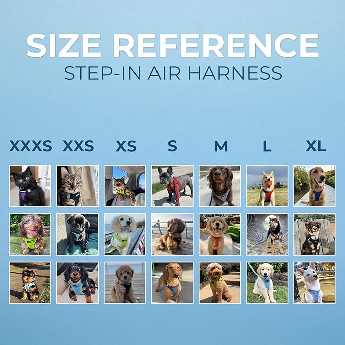 Best Pet Supplies Voyager Step-in Air Harness - All Weather Mesh, Reflective, No Pull Harness for Dogs, Cats - Secure with Hook & Loop Fastener, Buckle, Double D-Rings - Turqupise 2-Tone, L