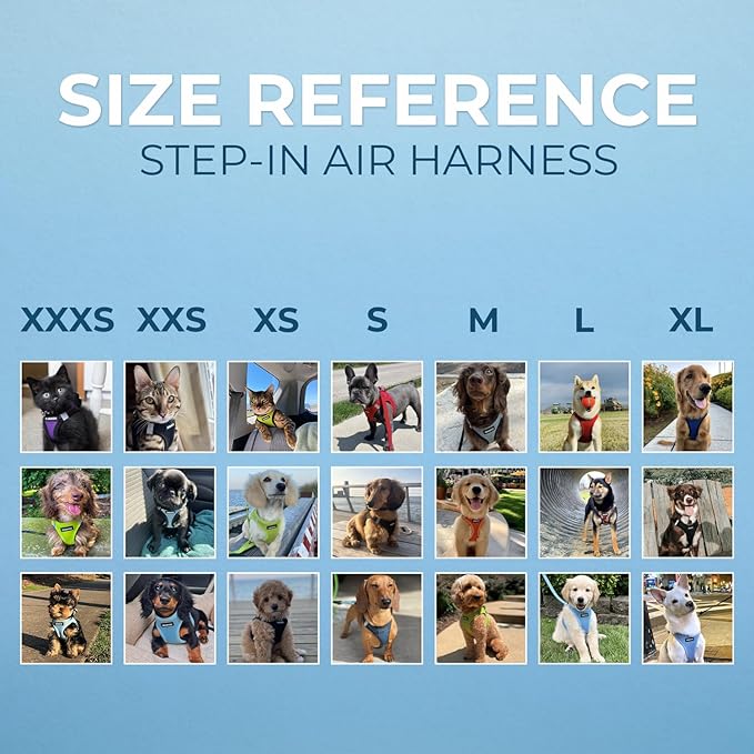 Voyager Step-in Air Dog Harness - All Weather Mesh, Reflective, No Pull Harness for Small, Medium Dogs, Cats - Secure with Hook & Loop Fastener, Buckle, Double D-Rings - Turquoise 2-Tone, XS