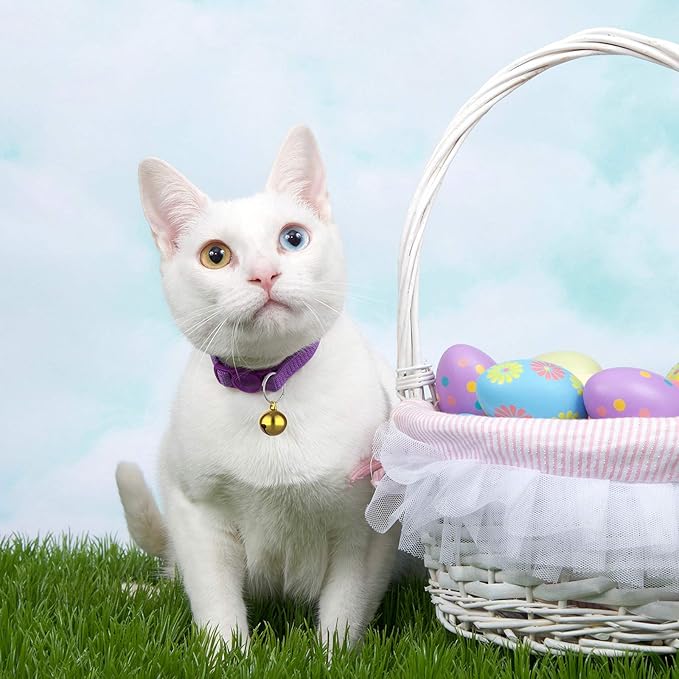 24 Sets of Cat Bells for Cat and Dog Collar Pendant Pet Bell Pet Pendant Accessories (Mixed Color)