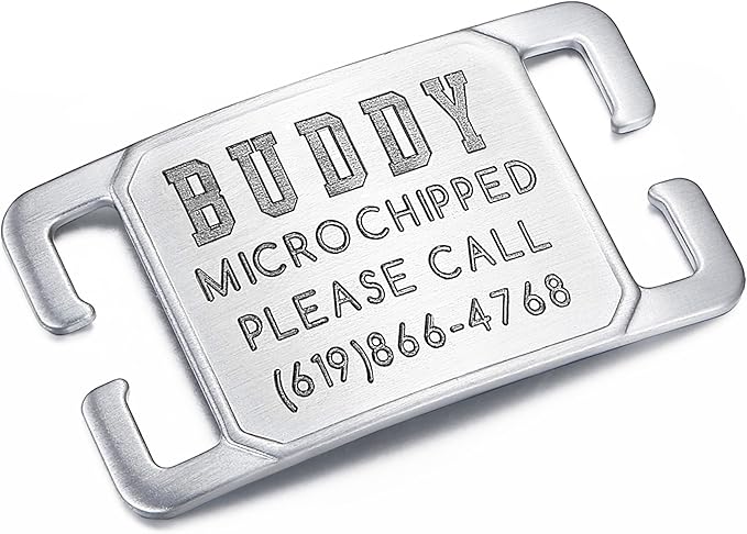 Deep Laser Custom Font Engraved Slide - No Noise Collar Tags, Hand-Brushed Stainless Steel, 5 Lines of Personalized Text - Pet ID Name Tags for Dogs & Cats - Medium