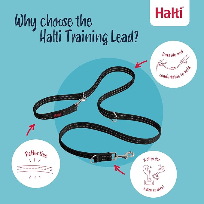 Halti Headcollar Size 4, Black & Halti Training Leash Size Large, Black Combination Pack - Stop Your Dog Pulling on the Leash. Adjustable, Lightweight with Padded Nose Band. Suitable for Large Dogs