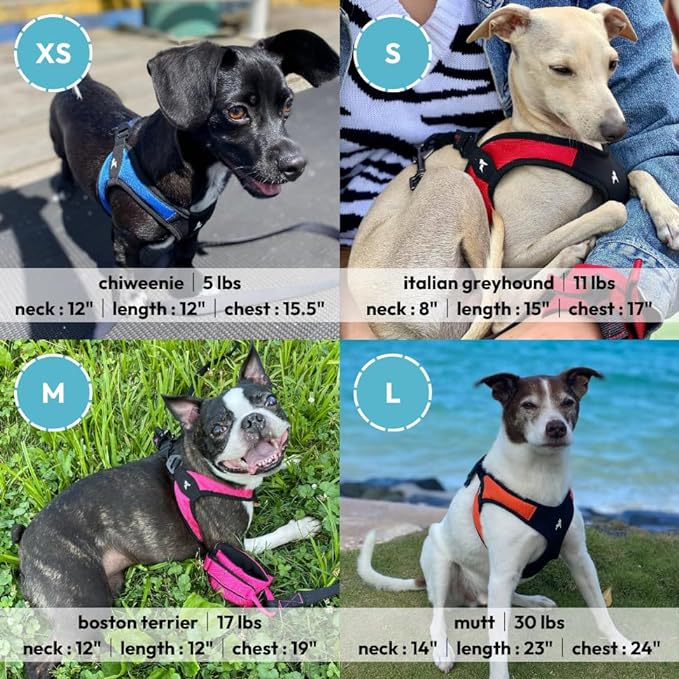 Gooby - Escape Free Easy Fit Harness, Small Dog Step-in Harness for Dogs that Like to Escape Their Harness, Turquoise, Medium