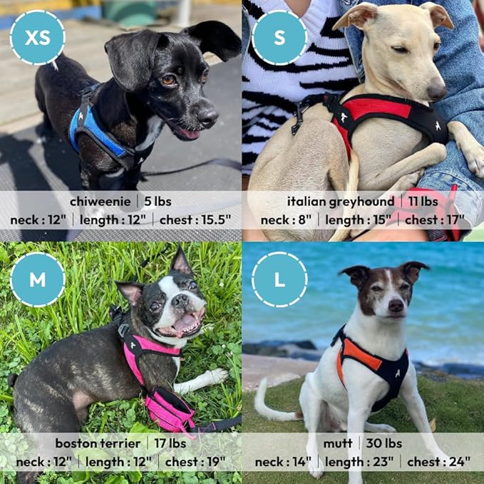 Gooby Escape Free Easy Fit Harness - Orange, Small - No Pull Step-in Patented Dog Harness with Quick Release Buckle for Small to Medium Dogs