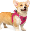 rabbitgoo Small Dog Harness, Step-in Soft Mesh Puppy Vest with Safety Buckle, Breathable Reflective Pet Harness for Small Medium Dogs, Rose Red L