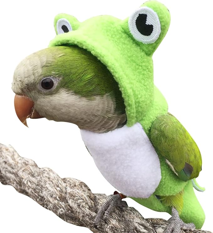 Bird Costume Diaper Flight Suit Frog Shape Hoodie Clothes Cosplay Photo Prop for Parrots Parakeet Cockatiel Sun Conure, Small Animals Apparel (Pink with Diaper, Large), Green (BPF1)