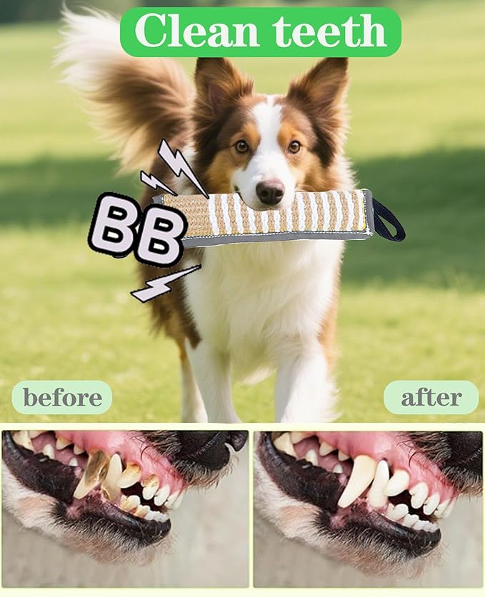Clysoru Squeaky Tug Toy for Dogs Jute with 2 Strong Handles Lasting Training Equipment Puppy to Large Dog Interactive Toys of War Pull Indestructible Rope Pet Crinkle Teething (Gray)