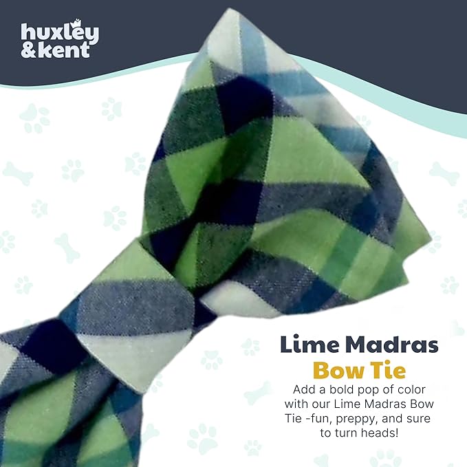 Huxley & Kent Pet Bow Tie for Dogs & Cats - Adjustable Hook & Loop Collar Accessory - Cute & Comfortable for Holidays & Celebrations - Lime Madras, Small