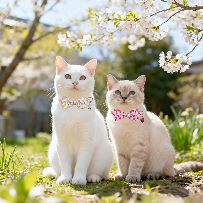 SCENEREAL Breakaway Cat Collar with Bell, 2 Pack Safety Adjustable Cat Collars with Pendant, Pink Personalised Puppy Kitten Collar with Bow for Spring Summer, Strawberry Tulip