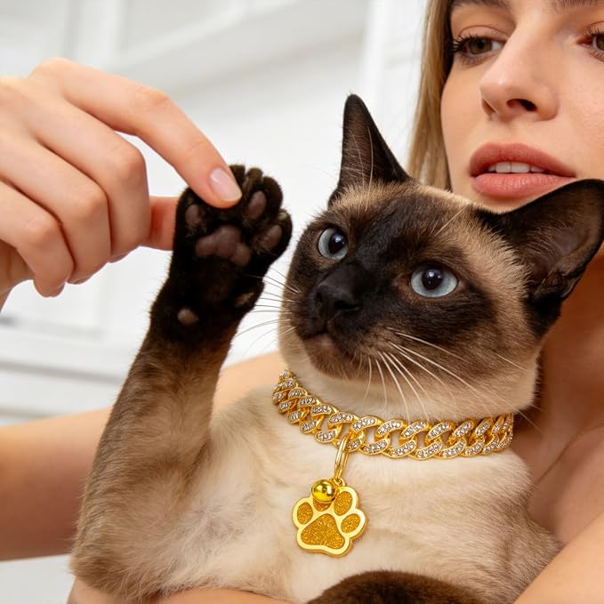 EXPAWLORER Cat Collar Chain,Diamond Gold Glitter Collar Walking Metal with Secure Buckle Link Cuban Pet Rhinestones Necklace Accessories with Paw Charm and Bell for Cats Dogs Kittens (10 Inch,Gold)