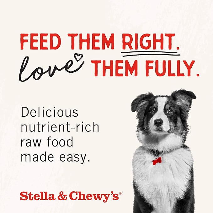 Stella & Chewy's Freeze-Dried Raw Chicken Breast Dog Treats - Single Ingredient, No Additives - Premium Training Treats - Perfect For Picky Eaters - 2.75oz Bag