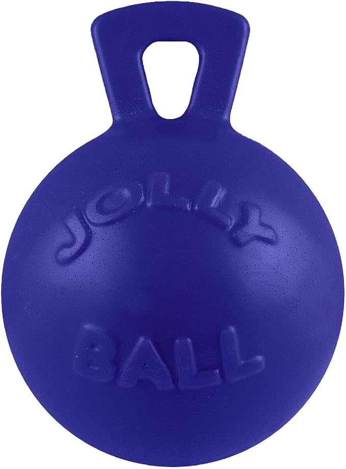Jolly Pets Tug-n-Toss - Heavy Duty Chew Ball w/ Handle (Blue, 6") for Medium Breeds