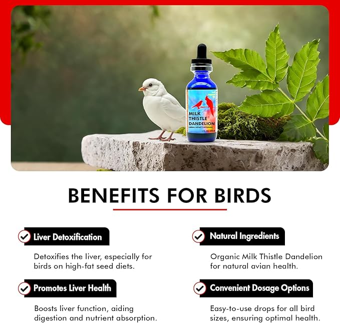 Morning Bird Milk Thistle & Dandelion Extract 2 fl oz – Organic Herbal Supplement for Birds – Supports Liver Health & Natural Detox – Suitable for All Bird Species