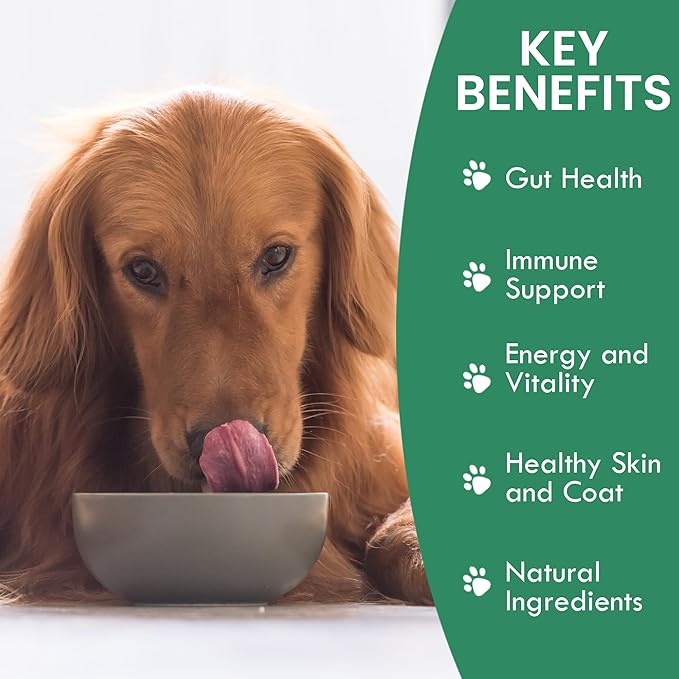 Holistic Bin Canine Beef Bone Broth Protein Powder Dog Food Toppers | Daily Supplement Powder with Bone Broth, Spirulina Nib & Beetroot | Glossy Coat, Joints & Overall Wellness | Beef Blend (50g)
