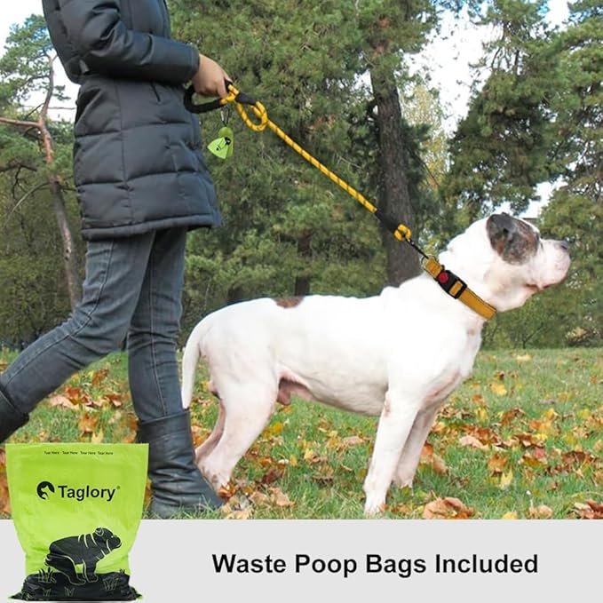 Taglory Rope Dog Leash 5 FT with Comfortable Padded Handle, Highly Reflective Threads Leash and Anti-Tangle Clip for Walking Medium Large Dogs, 1/2 inch, Yellow