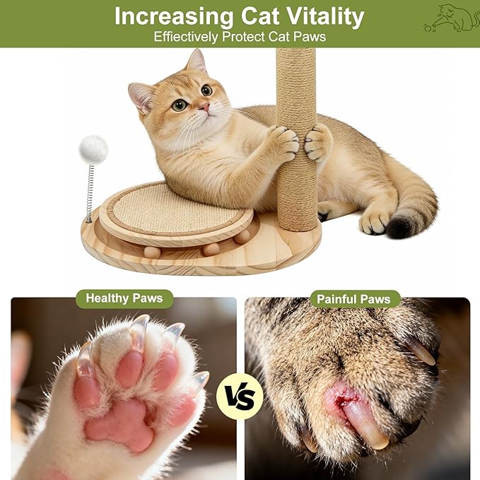 Cute Babys Breath Flower Cat Scratching Post,Tall Cat Tree, Interactive Cat Toys with Ball Track & Spring Ball, Cat Scratcher with Pad for Indoor Cats Adults and Kittens