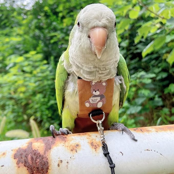 Bird Diaper Harness Flight Suit Clothes, Parrot Flight Suit with Leash for Parrot, Bird Flying Clothes with Rope and Handle for Outdoor Activities Training (Budgie,with Leash)