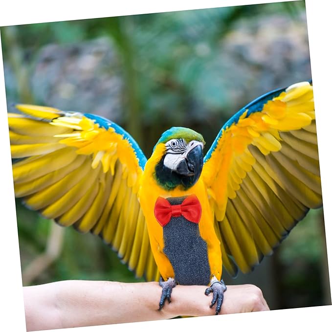 BESPORTBLE Adjustable Small Bird Diaper Flight Suit for Parakeets Cockatiels Pigeons Lightweight Breathable Cotton Cloth Bird Diaper Harness Outfit for Pet Reusable Comfortable