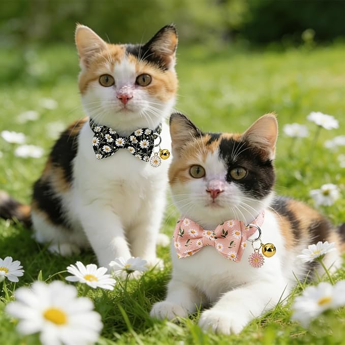 JarThenaAMCS 3 Pcs Daisy Flower Cat Collar with Breakaway Bell Bow Tie Pink Blue Black Floral Adjustable Kitten Collars for Spring Summer Girl Boy Cats Small Pet Party