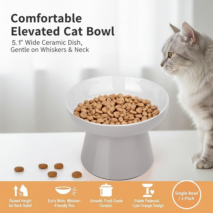 Ceramic Raised Cat Bowl, Elevated Cat Food Bowl with Non-Slip Base,Whisker Friendly Shallow Feeder for Dry & Wet Food, Dishwasher Safe, Anti Vomiting (Grey)