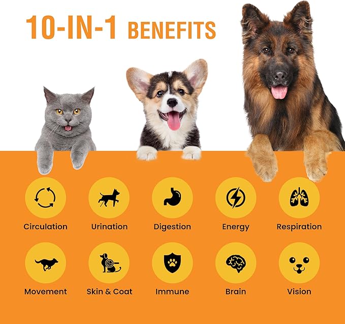 10-in-1 Liquid Multivitamin for Dogs and Cats, 4 Ounce Multi Vitamin Supplement, Vitamin for Dogs, Vitamins for Cats, with Glucosamine & Cranberry, 4 oz