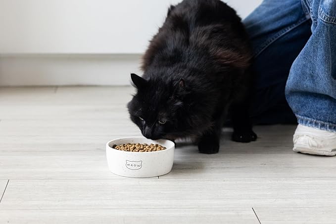 Pearhead Ceramic Meow Cat Bowl, Holds 12 oz, Whisker-Friendly Pet Dish for Food and Water, Modern Speckled White
