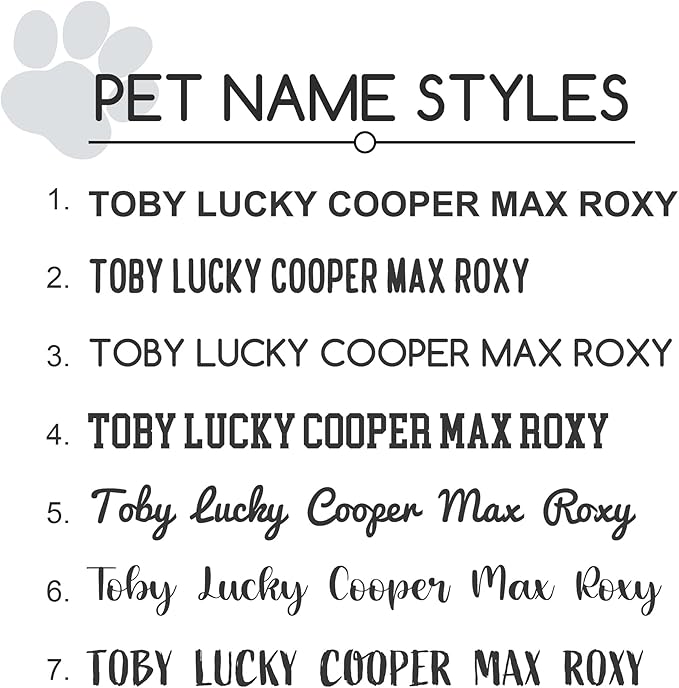 Deep Laser Custom Font Engraved Slide - No Noise Collar Tags, Hand-Brushed Stainless Steel, 5 Lines of Personalized Text - Pet ID Name Tags for Dogs & Cats - Large