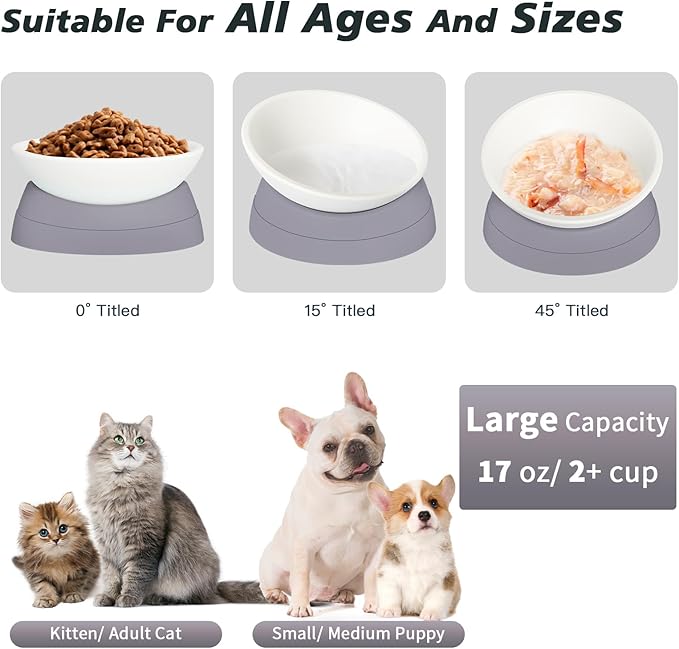 Ravitat 3Pcs Elevated Cat Food Bowl - Adjustable, Anti-Slip & Anti-Noise, Protects Pet's Spine - Thickened Plastic, 17 Oz