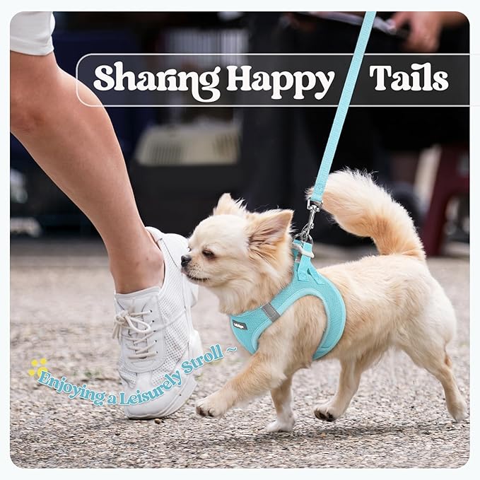 rabbitgoo Dog Harness Small Sized and Leash Set, Step in Soft Light Puppy Vest, Breathable Mesh Pet Harness, Reflective for Safe Easy Walking, Mint Blue S