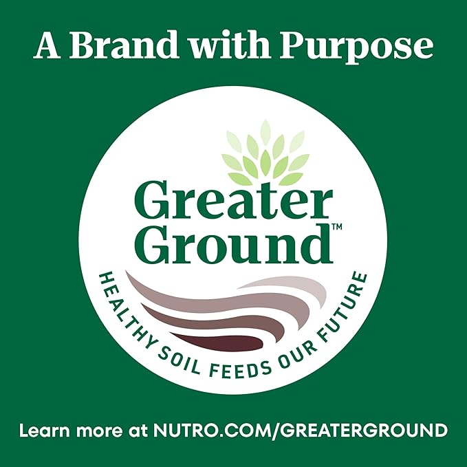 Nutro Wholesome Essentials Indoor Dry Cat Food, Chicken & Brown Rice Recipe, 3 lbs.