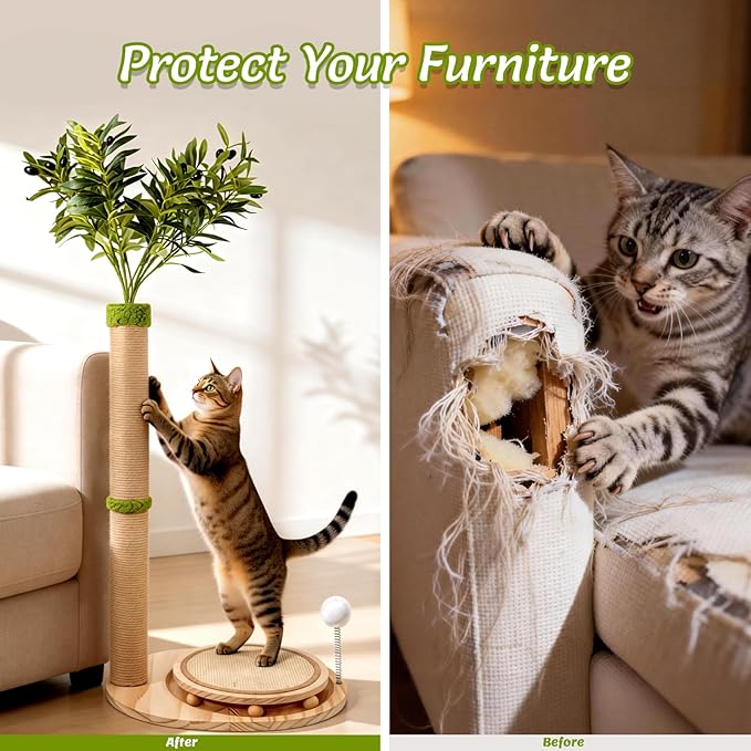 39" Tall Cat Scratching Post, Cute Olive Tree Cat Scratcher, Interactive Cat Toys with Ball Track & Spring Ball, Sturdy Cat Tree with Scratch Pad for Indoor Cats Adults and Kittens