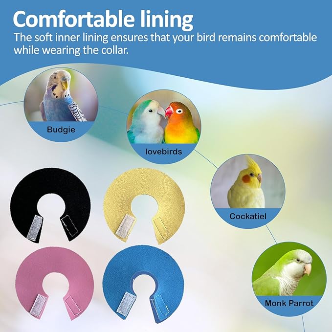 4Pack Bird Cone Collar, Anti-Grab Feather Plucking Wound Healing Safety Elizabethan Collar, Protective Recovery Cones for Budgerigar Cockatiel Lovebirds Cockatoo Parrots (S)