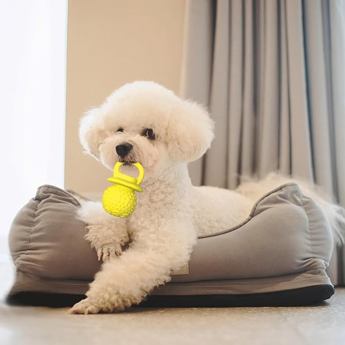 Latex Chew Dog Toys, Novelty Squeaky Pacifier Dog Toys for Teething Puppies, Mild Chewing Small, Medium, Large Dogs, Pet Dogs Supplies Newborn Puppy Gift