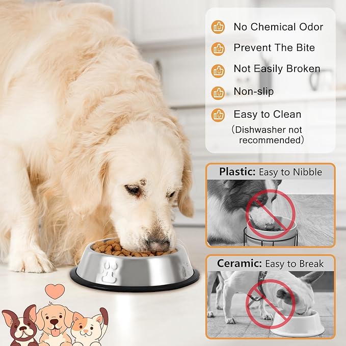 Stainless Steel Cat Bowl, 2 Pack Metal Dog Bowls for Food and Water, Non-Slip Pet Feeding Dish Bowl with Rubber Base for Indoor Cats Small Dogs