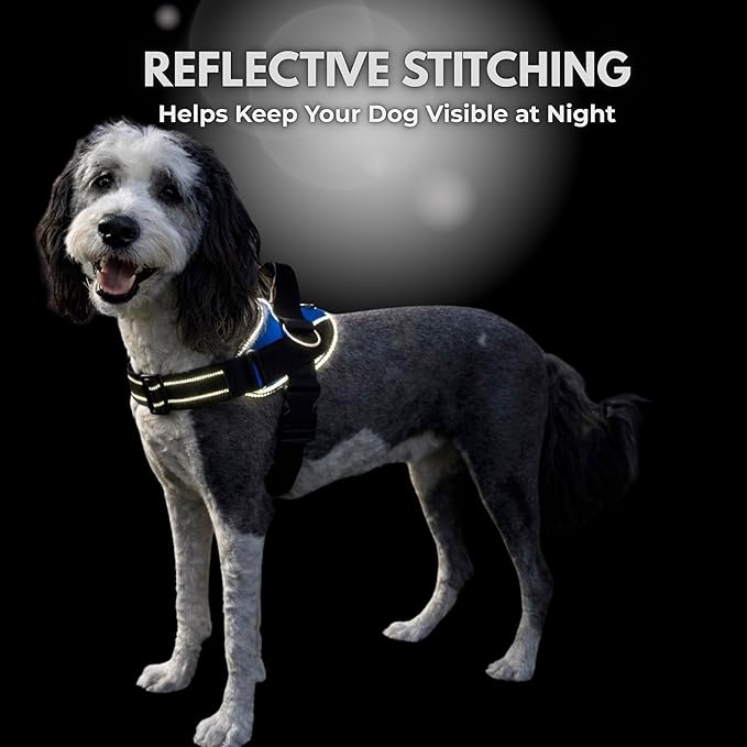 ShawnCo Essential Dog Harness, No-Pull Pet Vest with 3 Leash Clips, No Choke, Reflective, Adjustable and Padded, for Easy Walking and Training for Small, Medium and Large Dogs (Pacific Blue, M)