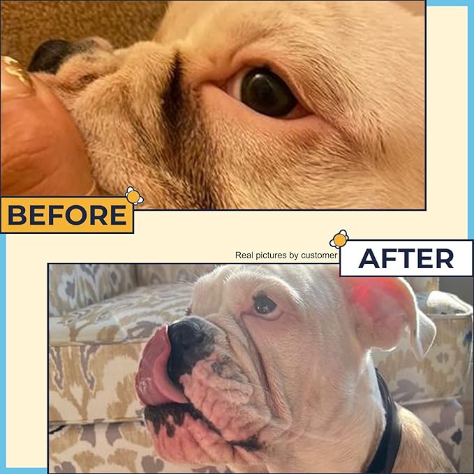 Paste for Bulldogs Wrinkle 2oz+ 50 Wrinkle Wipes French Bulldog (Pack of 2)- Wrinkle Cream for Dogs, Frenchie, English Bulldog, Pug- Cleans Rashes,Tail Pockets, Dry Skin & Paws (Made In USA)