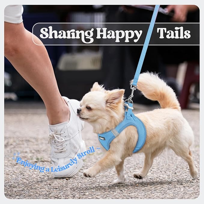 rabbitgoo Dog Harness Medium Sized and Leash Set, Step in Soft Light Puppy Vest, Breathable Mesh Pet Harness, Reflective for Safe Easy Walking, Blue XXL