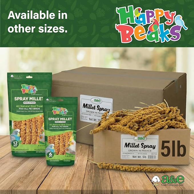 A&E Cage Co Premium French Millet Spray for Birds - 6 Piece, 3oz Pack Natural Spray Millet Treat - Healthy Bird Treat for Parakeets, Budgies, Cockatiels, Finches, Canaries & Small Birds