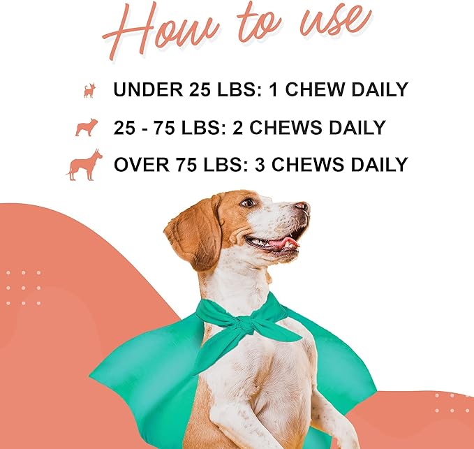 WONDER PAWS Daily Multivitamin Chews Plus Skin + Coat Chews - for Dogs Immune Support, Digestive Health, Joint Support, Skin & Coat - Daily Multi 60 Chews - Skin + Coat 70 Chews