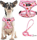 PUPTECK Soft Mesh Dog Harness and Leash Set Pet Puppy Cat Comfort Padded Vest No Pull Harnesses, Strawberry Pink, S