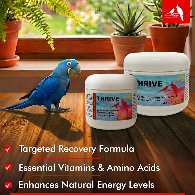 Morning Bird Thrive 4.5 oz – Daily Multi-Vitamin Bird Supplement for Immune & Recovery Support – Ideal for Sick, Injured, or Recovering Birds – Energy & Wellness Formula for Adult Birds