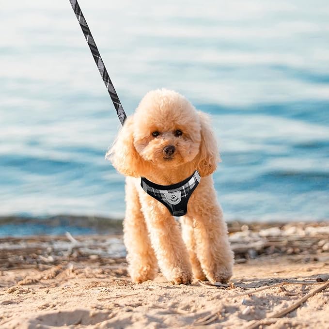 EXPAWLORER Classic Plaid Puppy Harness - Dog Collar and Leash - Soft Mesh Padded Adjustable Step in Small Dog Vest Harness No Pull, Reflective Escape Proof for Outdoor Walking, Black L