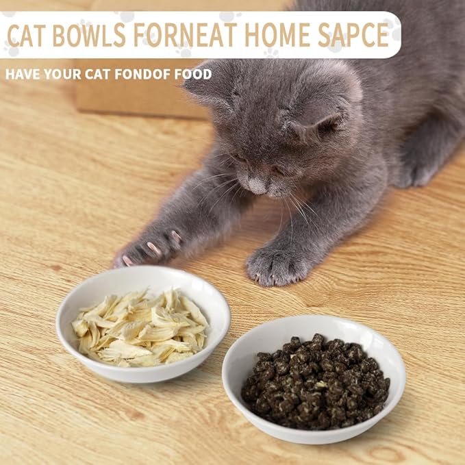 HAPPY KIT 2pcs Little Cat Bowls,5Inch Cat Food Bowl for Indoor Cats,Cute Kittens Plate/Dish/Dishes Set with Non-Slip Relief of Whisker Fatigue for Kitten - Microwave and Dishwasher Safe