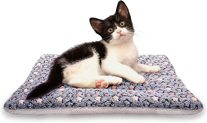 FJWYSANGU Fluffy Pet Cat Blanket Soft Coral Velvet Pet Puppy Cushion Mat Warm Cover Soft Pad Mat(Star V2/Dark Blue,Medium)