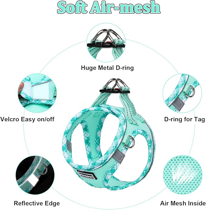 Mercano Soft Mesh Dog Harness and Leash Set, No-Chock Step-in Reflective Breathable Lightweight Easy Walk Vest Harnesses with Safety Buckle for Small Dogs, Cats (Light Green, M)