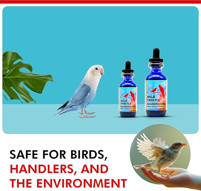 Morning Bird Milk Thistle & Dandelion Extract 2 fl oz – Organic Herbal Supplement for Birds – Supports Liver Health & Natural Detox – Suitable for All Bird Species