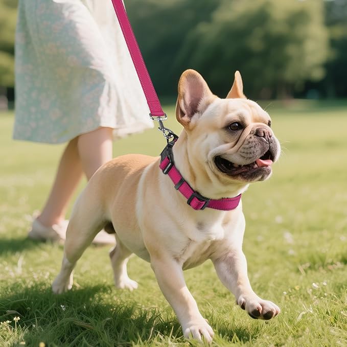 Joytale Reflective Dog Collar, Soft Neoprene Padded, Metal D-Ring, Nylon Pet Collar Adjustable for Small Dogs, Hotpink, S
