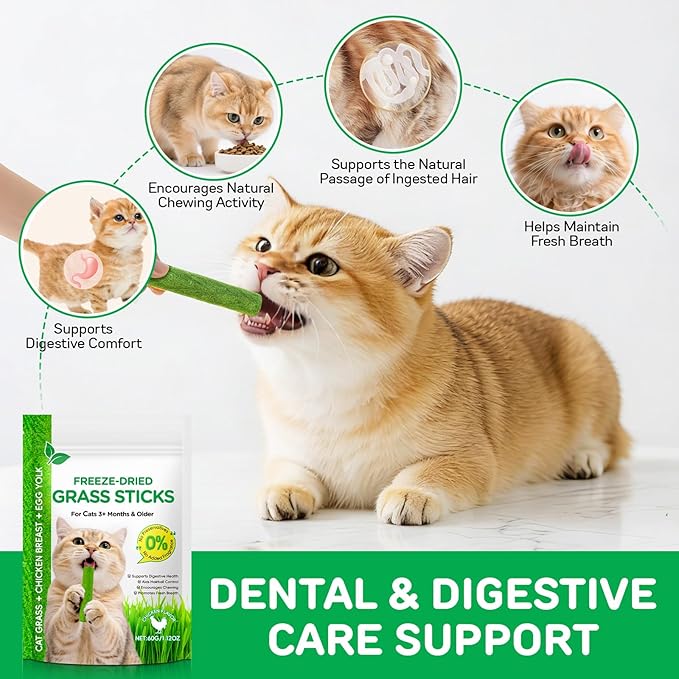 60g Cat Grass Sticks, Delicious Cat Grass Teething Stick Edible Cats Chew Toy Cat Treats Snack for Teeth Cleaning and Hairball Removal